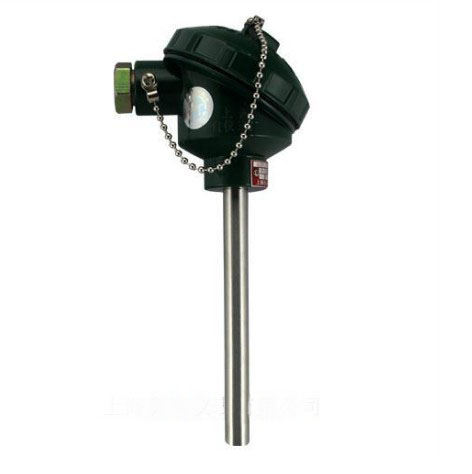 WZP-130無(wú)固定裝配式熱電阻