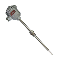 WZP-24SA隔爆熱電阻