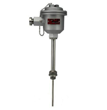 WZPK-24鎧裝式隔爆熱電阻