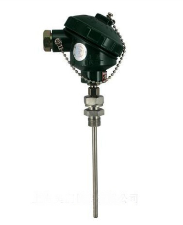 WZPK-336S防水式鎧裝熱電阻