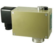 D504/7DZ雙觸點(diǎn)壓力控制器 上海遠(yuǎn)東儀表廠